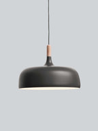 Xovelia Zinc Alloy Pendant Lamp-Moonnatur