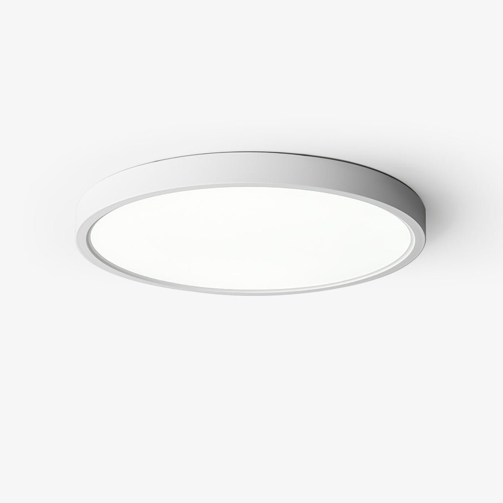 Farenaria Acrylic Ceiling Light-Moonnatur