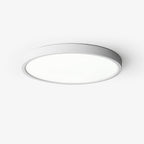 Farenaria Acrylic Ceiling Light-Moonnatur