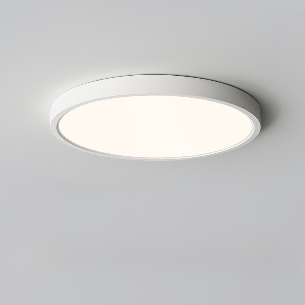 Farenaria Acrylic Ceiling Light-Moonnatur