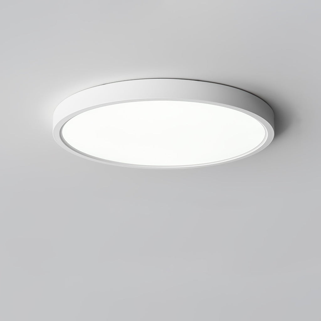 Farenaria Acrylic Ceiling Light-Moonnatur