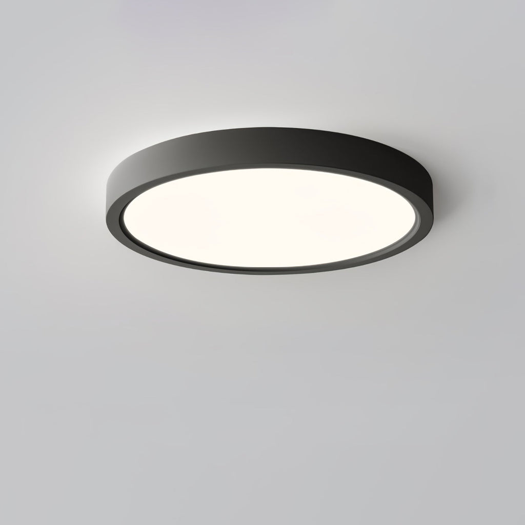 Farenaria Acrylic Ceiling Light-Moonnatur