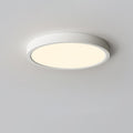 Farenaria Acrylic Ceiling Light-Moonnatur