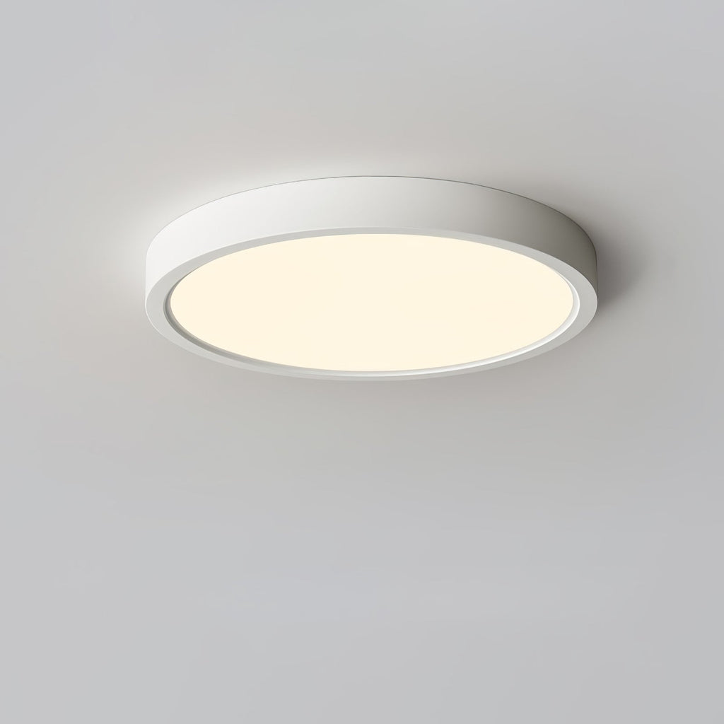 Farenaria Acrylic Ceiling Light-Moonnatur