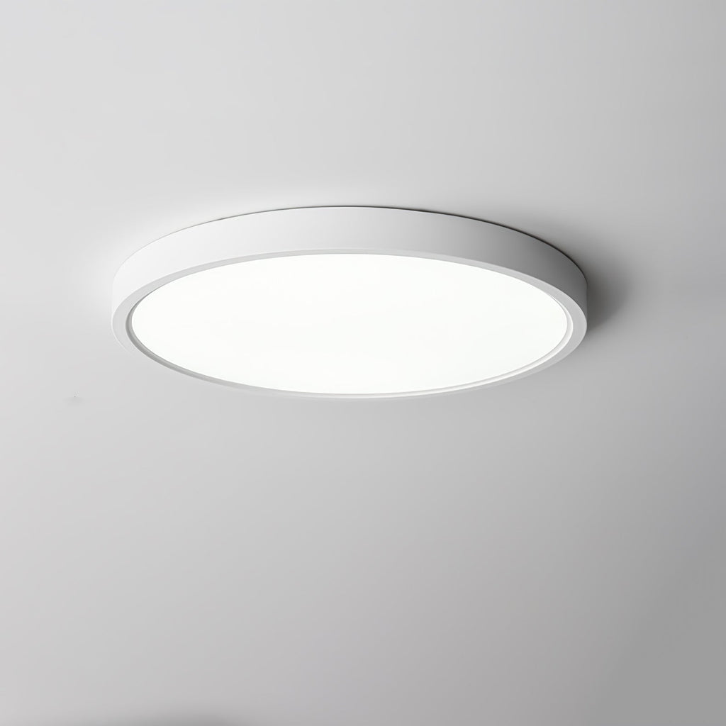 Farenaria Acrylic Ceiling Light-Moonnatur