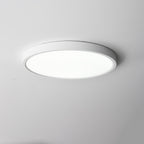 Farenaria Acrylic Ceiling Light-Moonnatur
