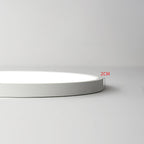 Farenaria Acrylic Ceiling Light-Moonnatur