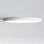 Farenaria Acrylic Ceiling Light-Moonnatur