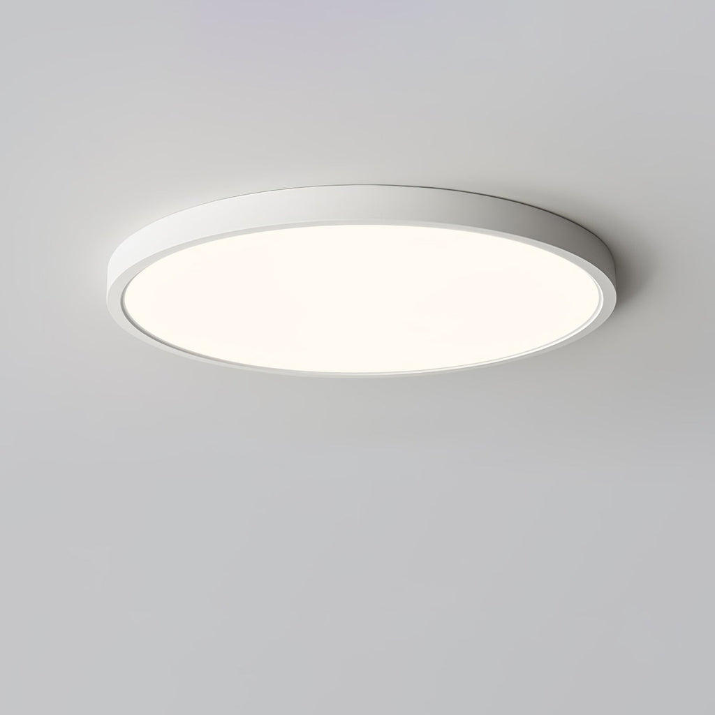 Farenaria Acrylic Ceiling Light-Moonnatur