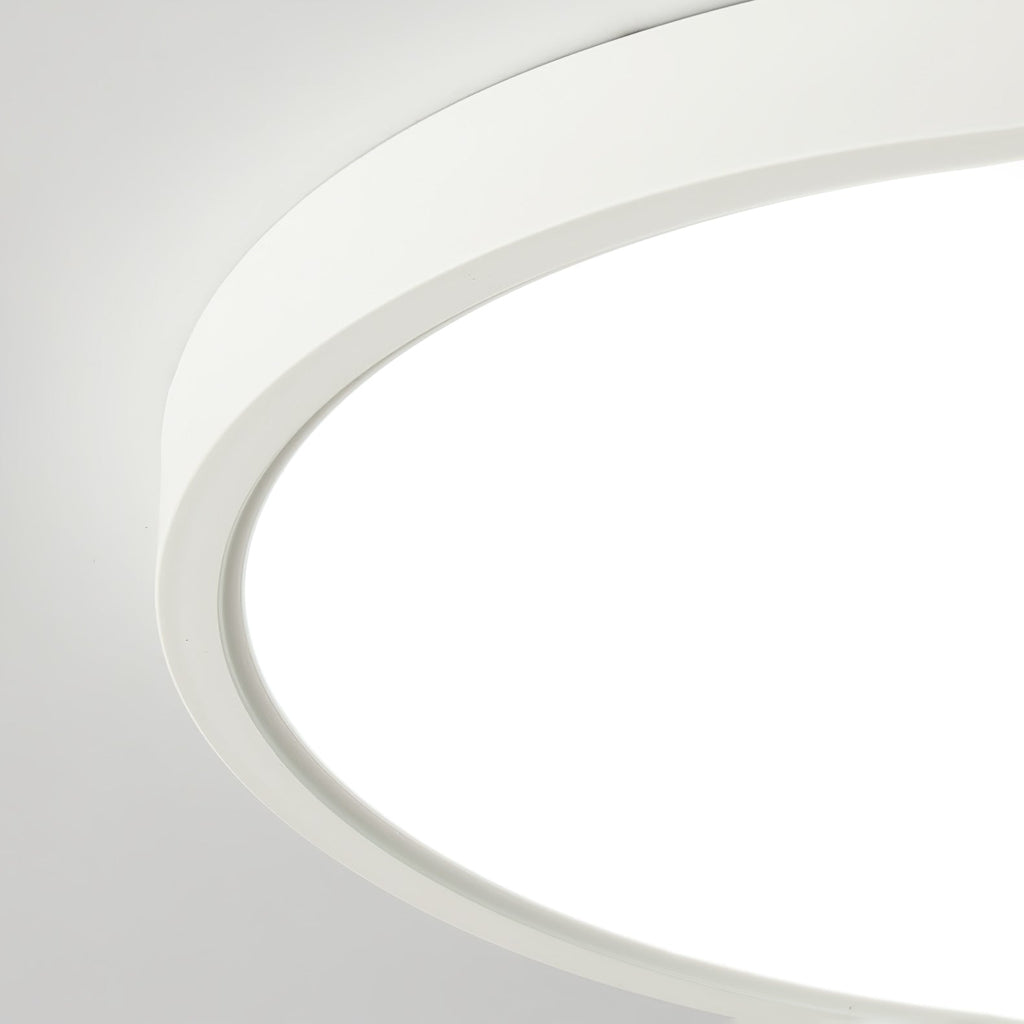 Farenaria Acrylic Ceiling Light-Moonnatur