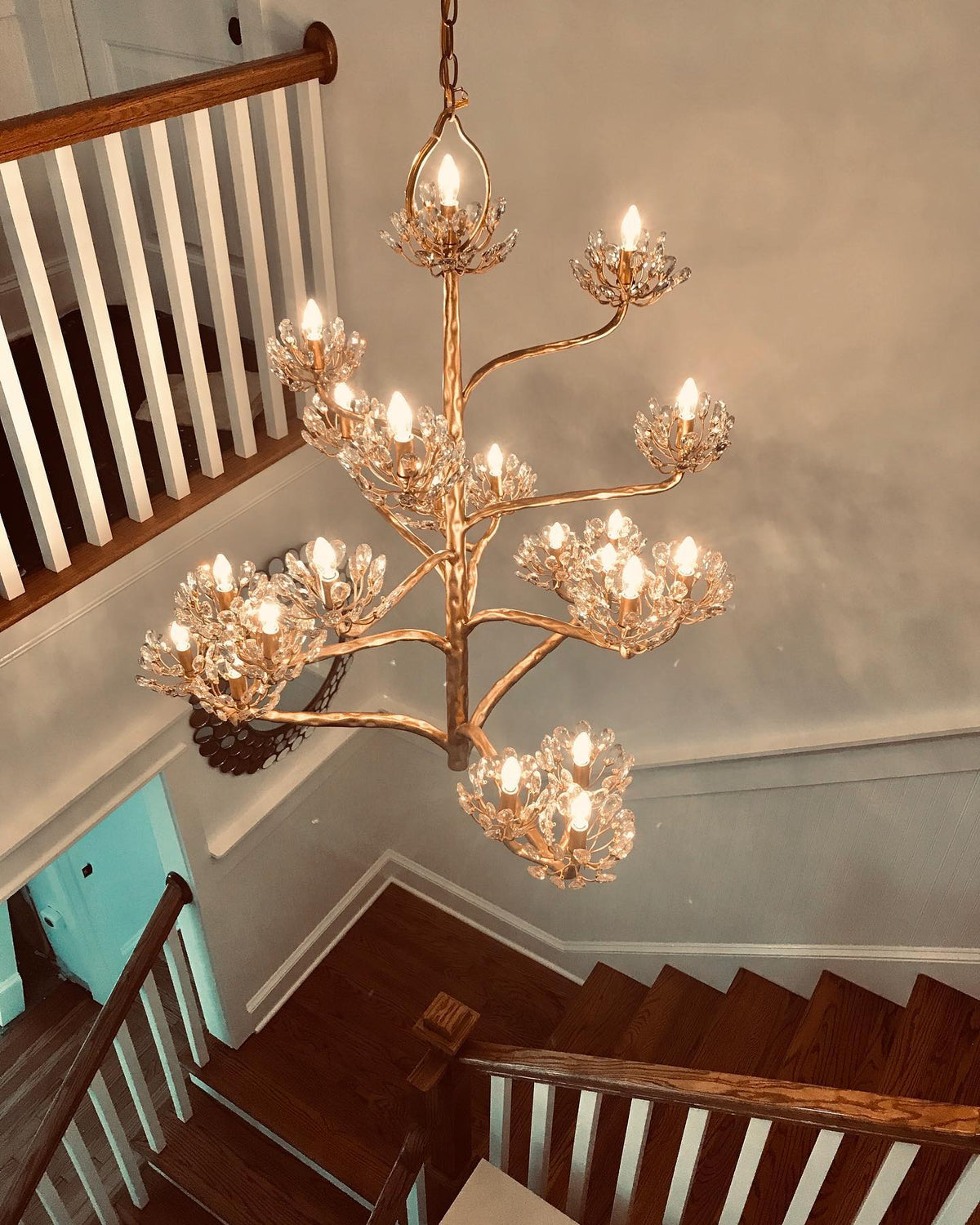 Savenaelle Crystal Chandelier-Moonnatur