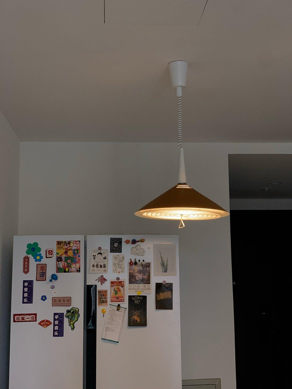 Everora Iron Pendant Light-Moonnatur