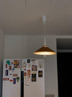 Everora Iron Pendant Light-Moonnatur