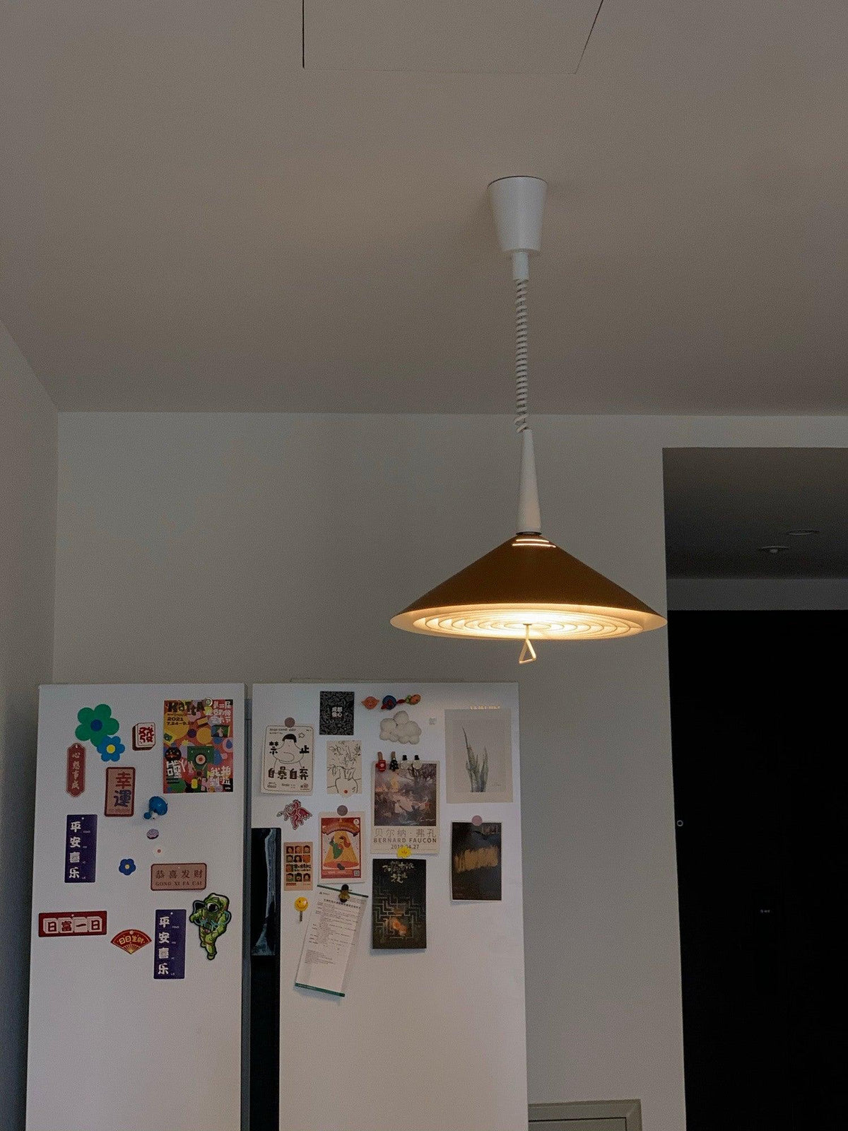 Everora Iron Pendant Light-Moonnatur
