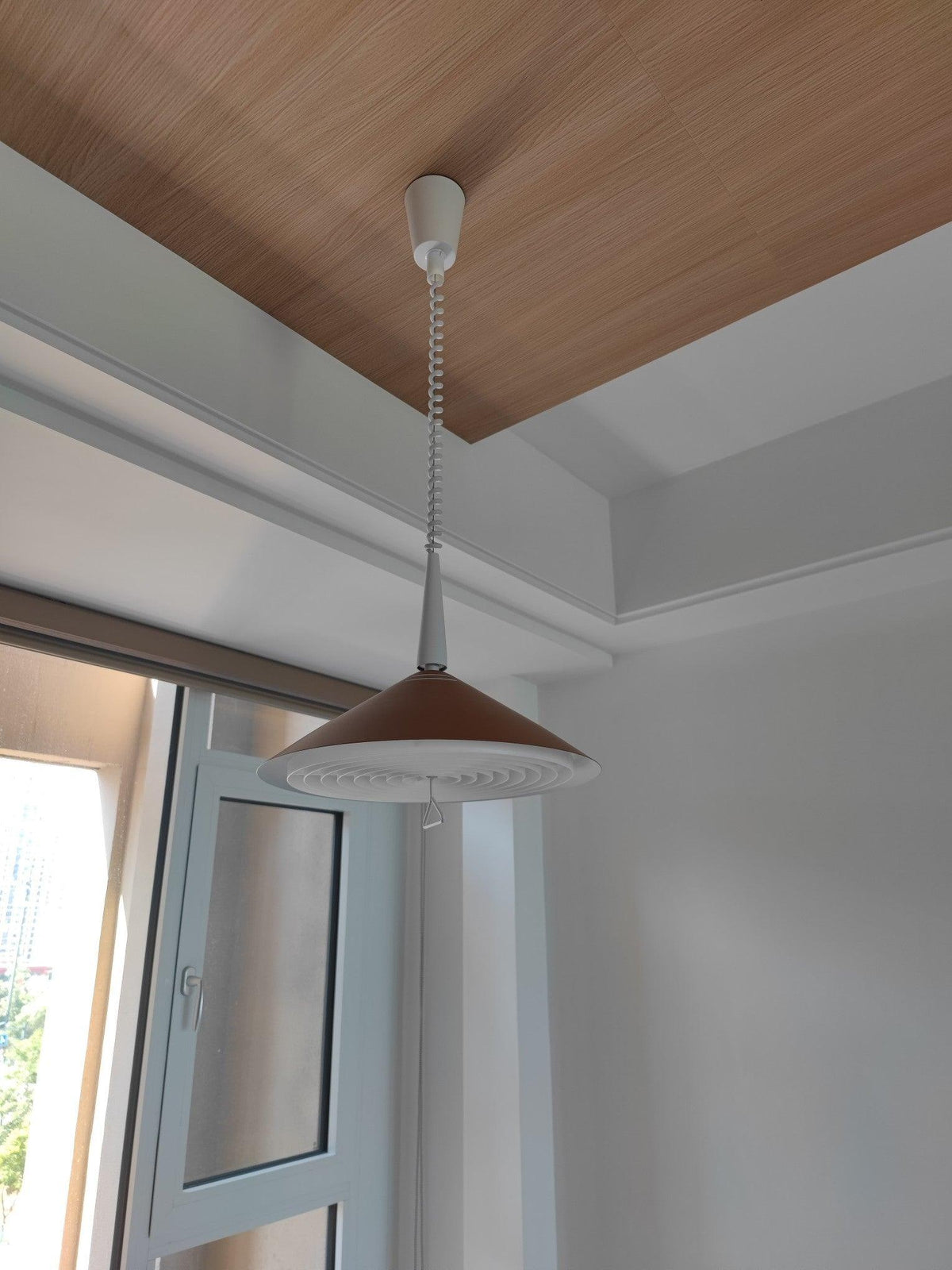 Everora Iron Pendant Light-Moonnatur
