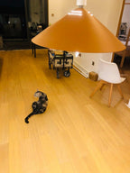 Everora Iron Pendant Light-Moonnatur