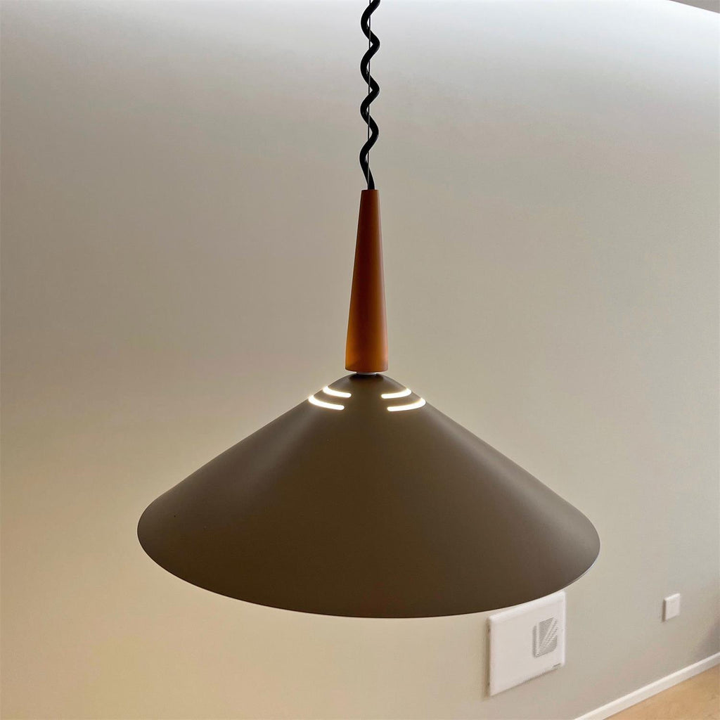 Everora Iron Pendant Light-Moonnatur