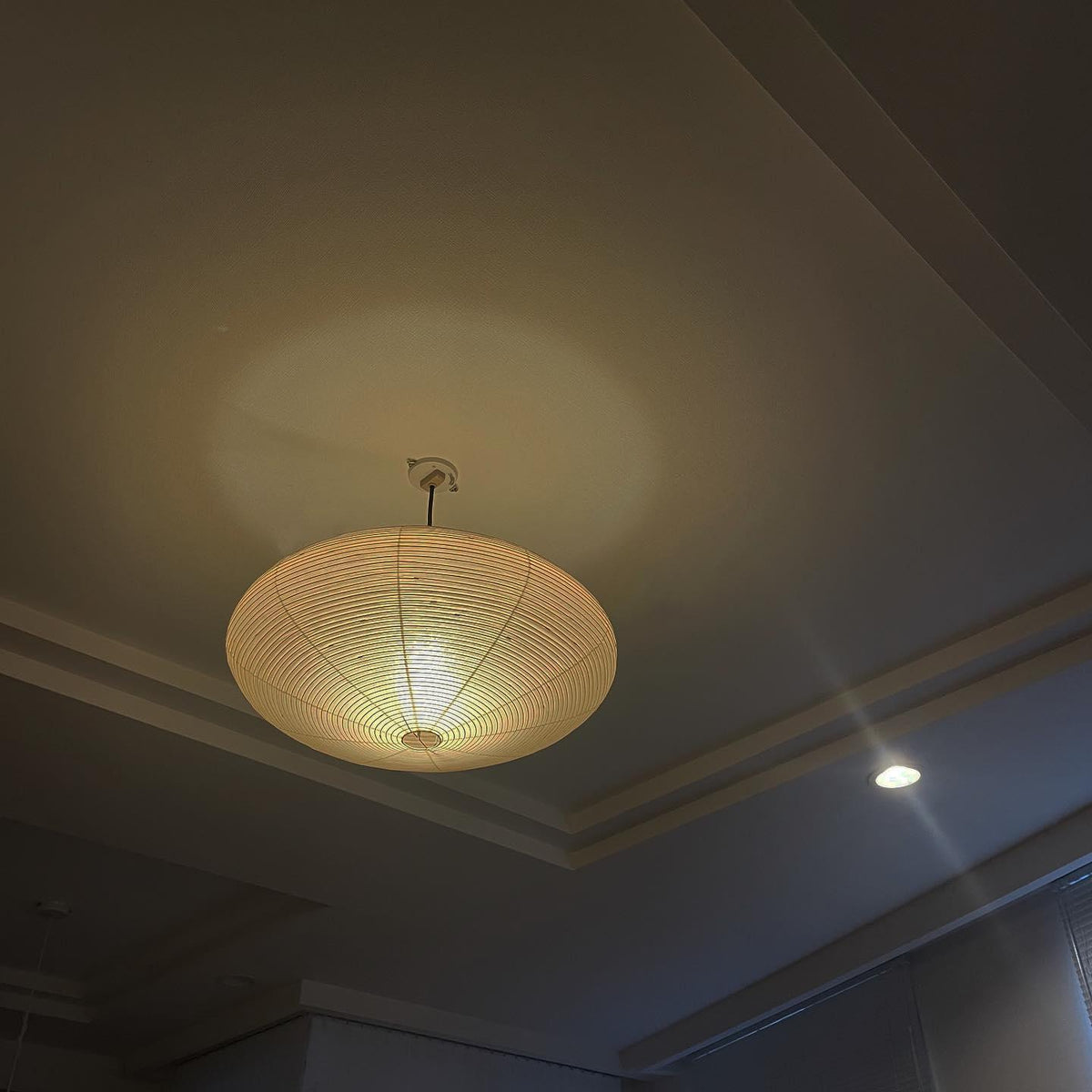 Lavenora Paper Pendant Light-Moonnatur