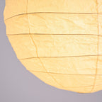 Caldenelyn Paper Pendant Light-Moonnatur
