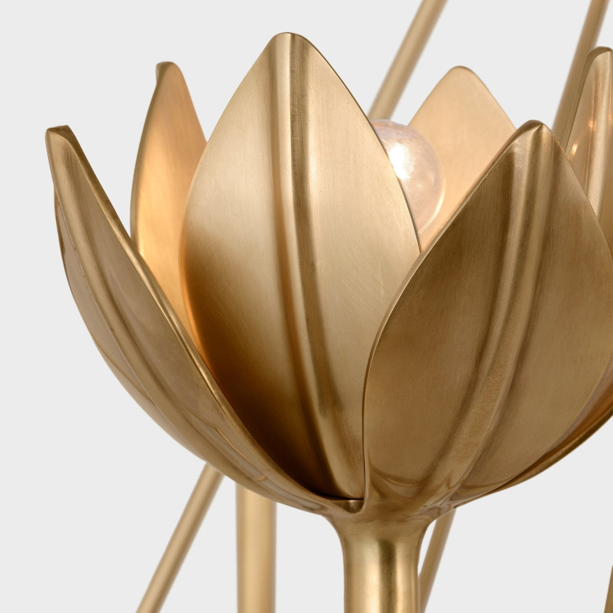 Ylenia Brass Chandelier-Moonnatur