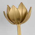 Lathengrove Brass Wall Light-Moonnatur