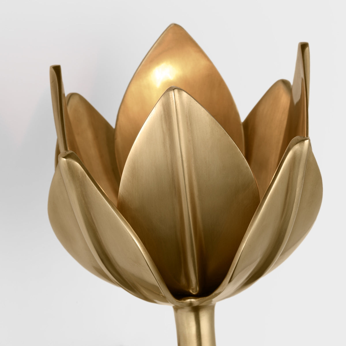 Lathengrove Brass Wall Light-Moonnatur