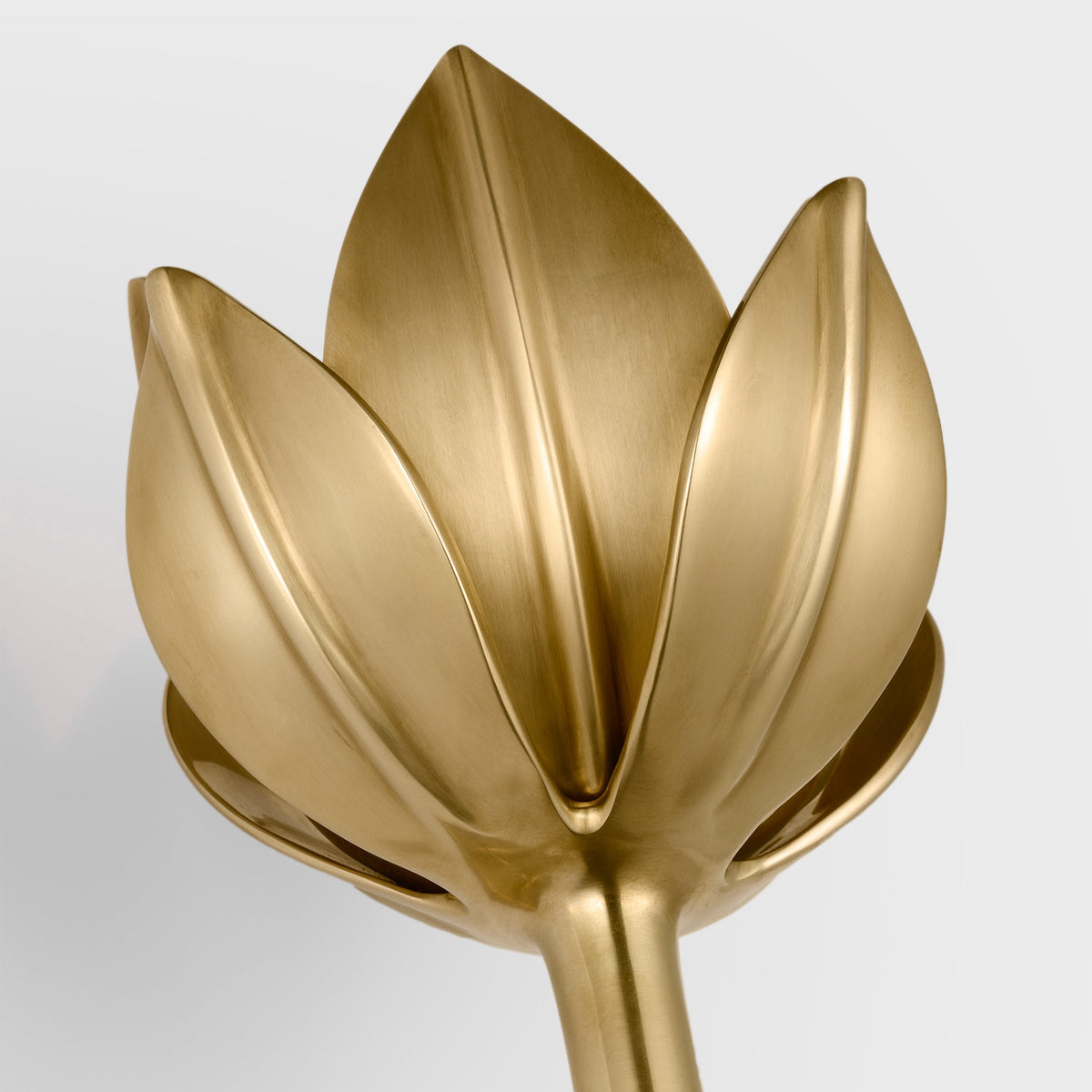 Lathengrove Brass Wall Light-Moonnatur