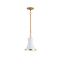 Langrenley Iron Pendant Light-Moonnatur