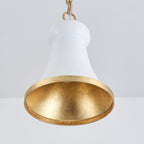 Langrenley Iron Pendant Light-Moonnatur