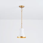 Langrenley Iron Pendant Light-Moonnatur