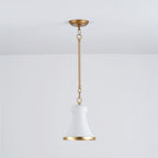 Langrenley Iron Pendant Light-Moonnatur