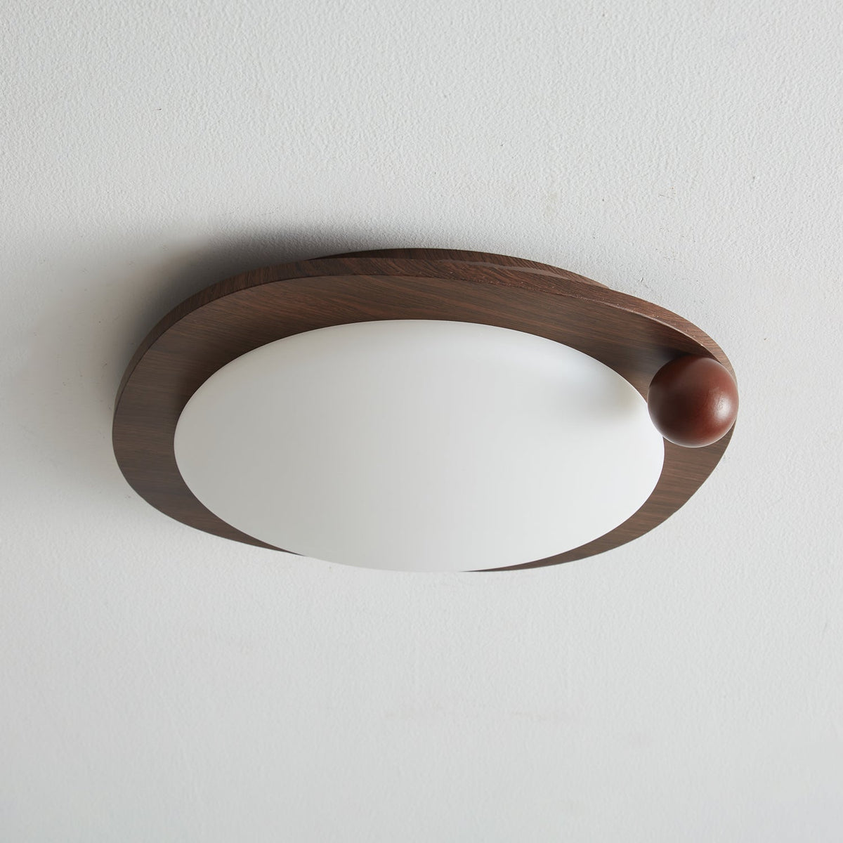 Garrowune Plastic Ceiling Light-Moonnatur