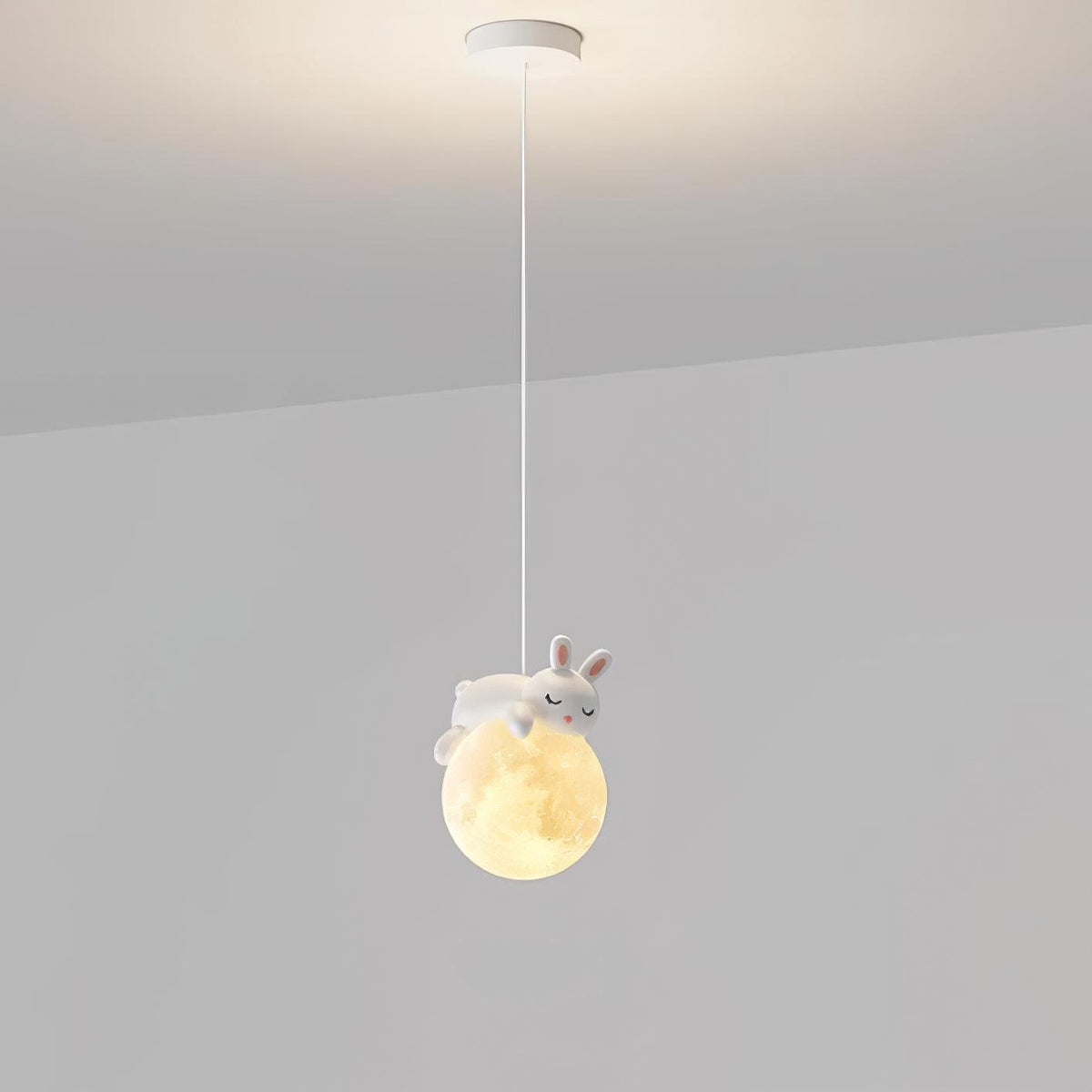 Omerin Resin Pendant Lamp-Moonnatur