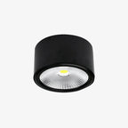 Elsenena Steel Ceiling Light-Moonnatur