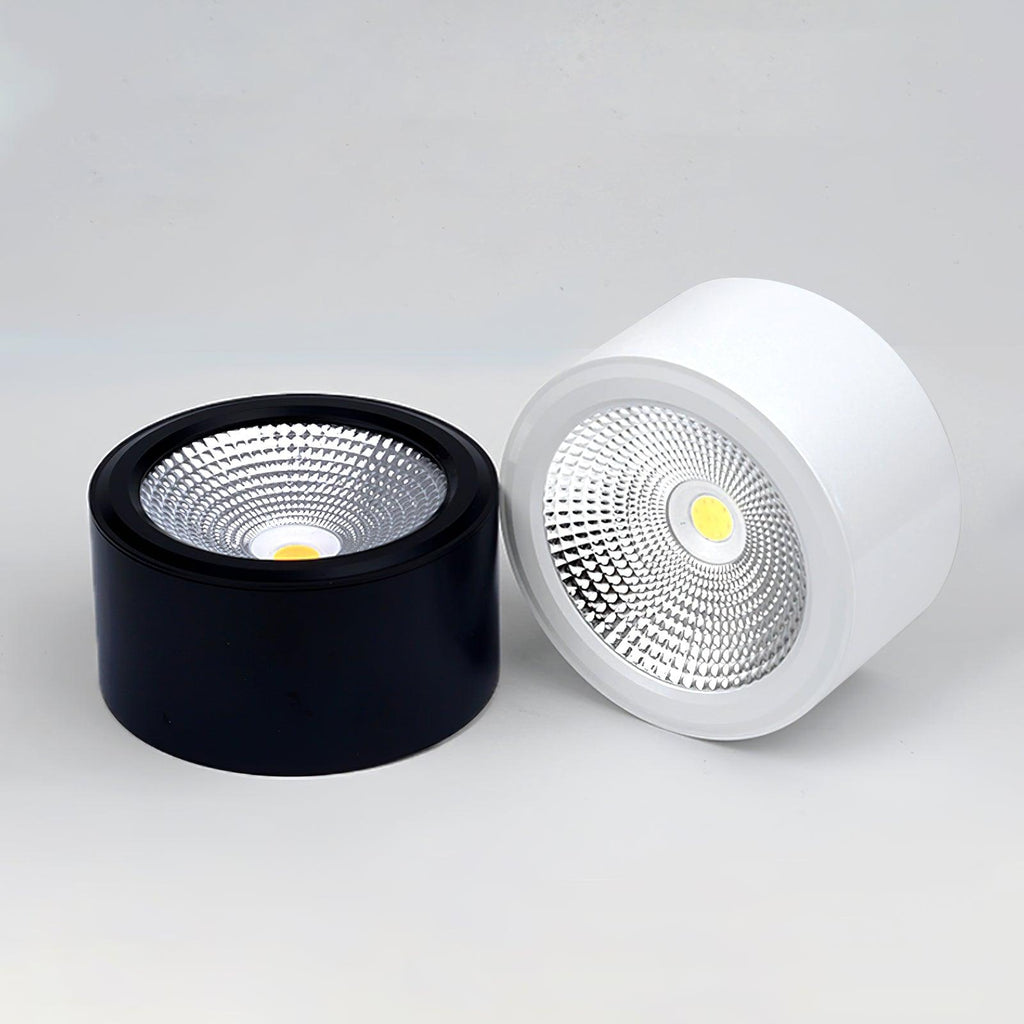 Elsenena Steel Ceiling Light-Moonnatur