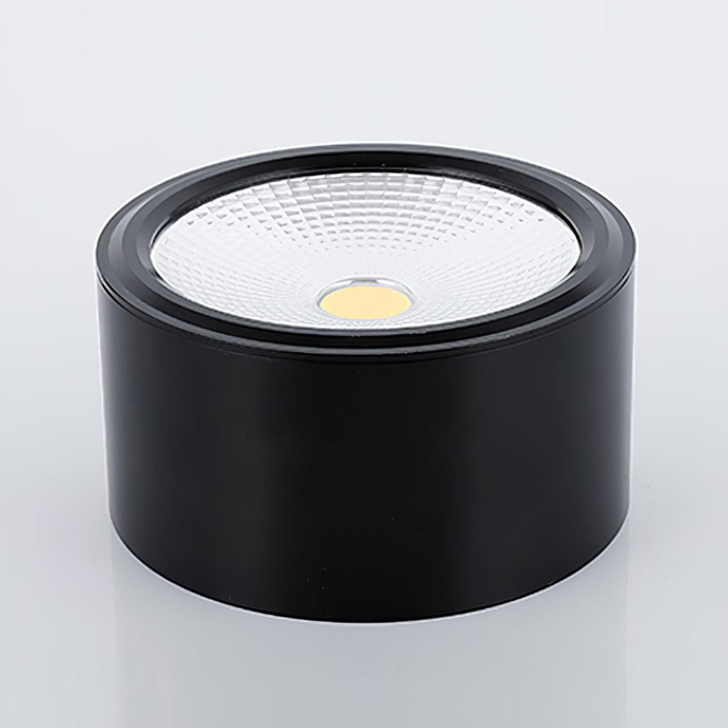 Elsenena Steel Ceiling Light-Moonnatur