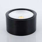 Elsenena Steel Ceiling Light-Moonnatur