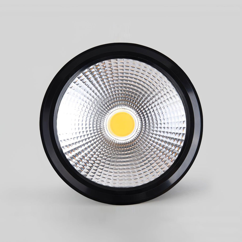 Elsenena Steel Ceiling Light-Moonnatur