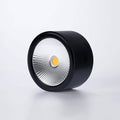 Elsenena Steel Ceiling Light-Moonnatur