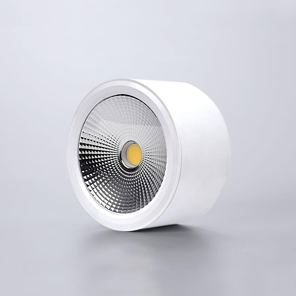 Elsenena Steel Ceiling Light-Moonnatur