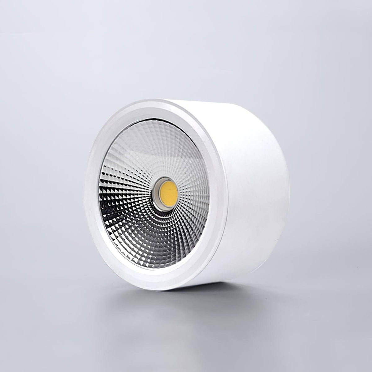 Elsenena Steel Ceiling Light-Moonnatur
