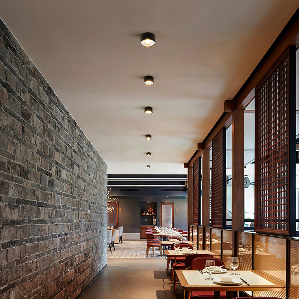 Elsenena Steel Ceiling Light-Moonnatur