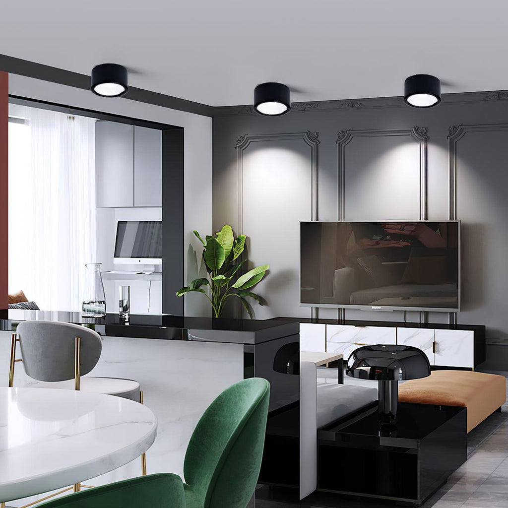 Elsenena Steel Ceiling Light-Moonnatur
