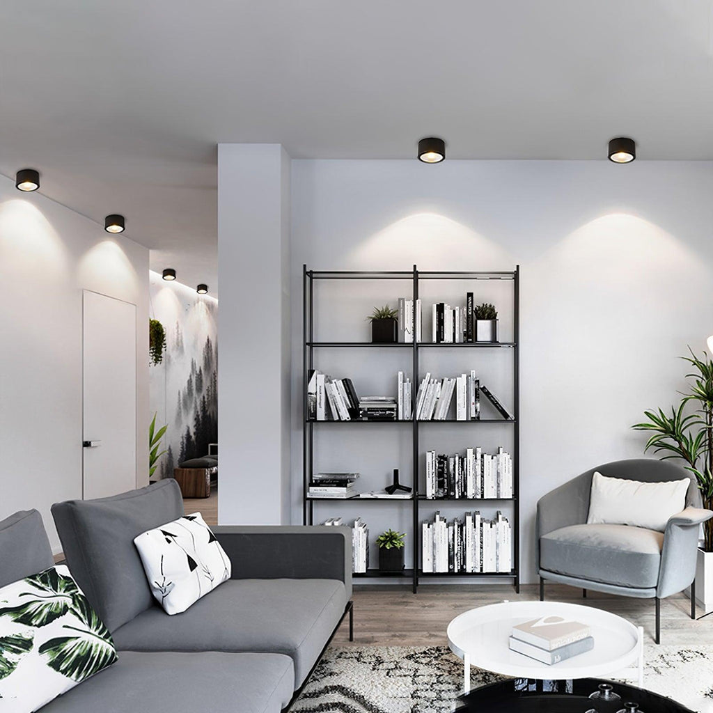 Elsenena Steel Ceiling Light-Moonnatur