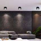 Elsenena Steel Ceiling Light-Moonnatur