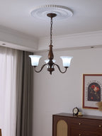 Raveleth Glass Chandelier-Moonnatur