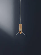Brieria Wood Pendant Light-Moonnatur
