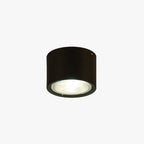 Carnelwyn Acrylic Ceiling Light-Moonnatur