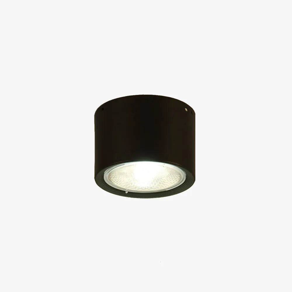Carnelwyn Acrylic Ceiling Light-Moonnatur