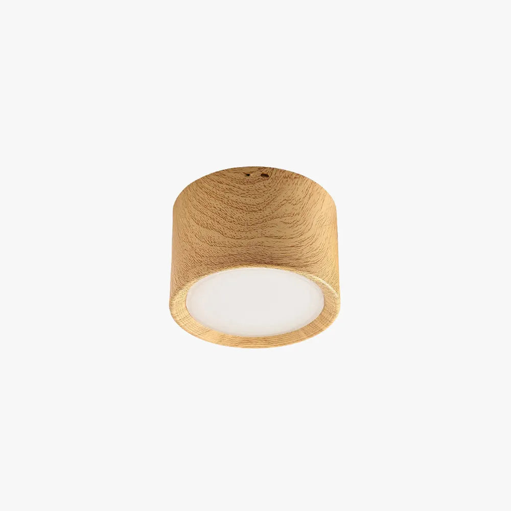 Carnelwyn Acrylic Ceiling Light-Moonnatur